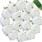 25 Pcs Silk Peony Artificial Flower Heads 4 inch Fake Peony Flowers Heads with Stems Artificial Peony Flower Heads in Bulk Wholesale for Wedding Home Decor